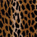 Animal Prints & Novelty Prints