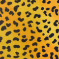 Animal Prints & Novelty Prints