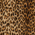 Animal Prints & Novelty Prints