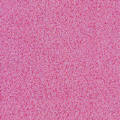 Glitters Fabrics