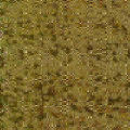 Glitters Fabrics