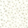 Glitters Fabrics