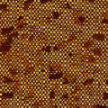 Glitters Fabrics